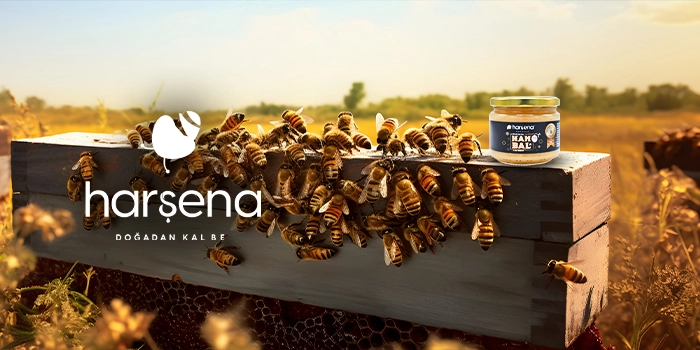 Marka - Harşena