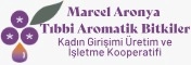 Marcel