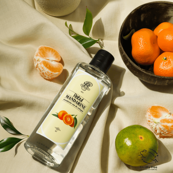 REBUL Mandarine EDC Kolonya 250 ML