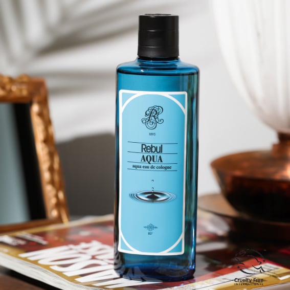 REBUL Aqua EDC for Men Kolonya 250 ML