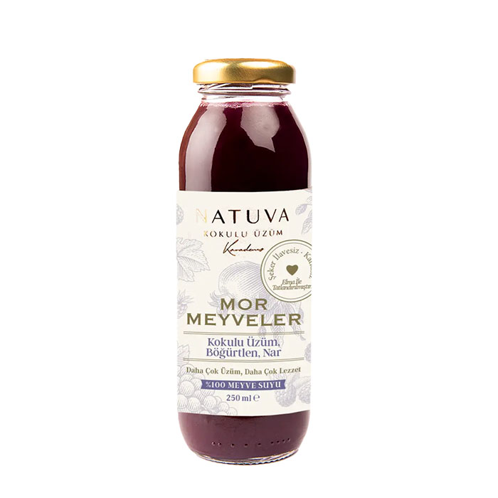 NATUVA Mor Meyveler % 100 Meyve Suyu 250 ML