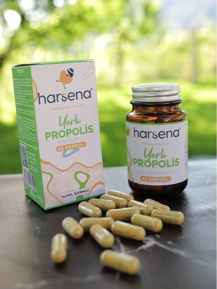 HARŞENA Propolis Ekstraktı 40 Kapsül