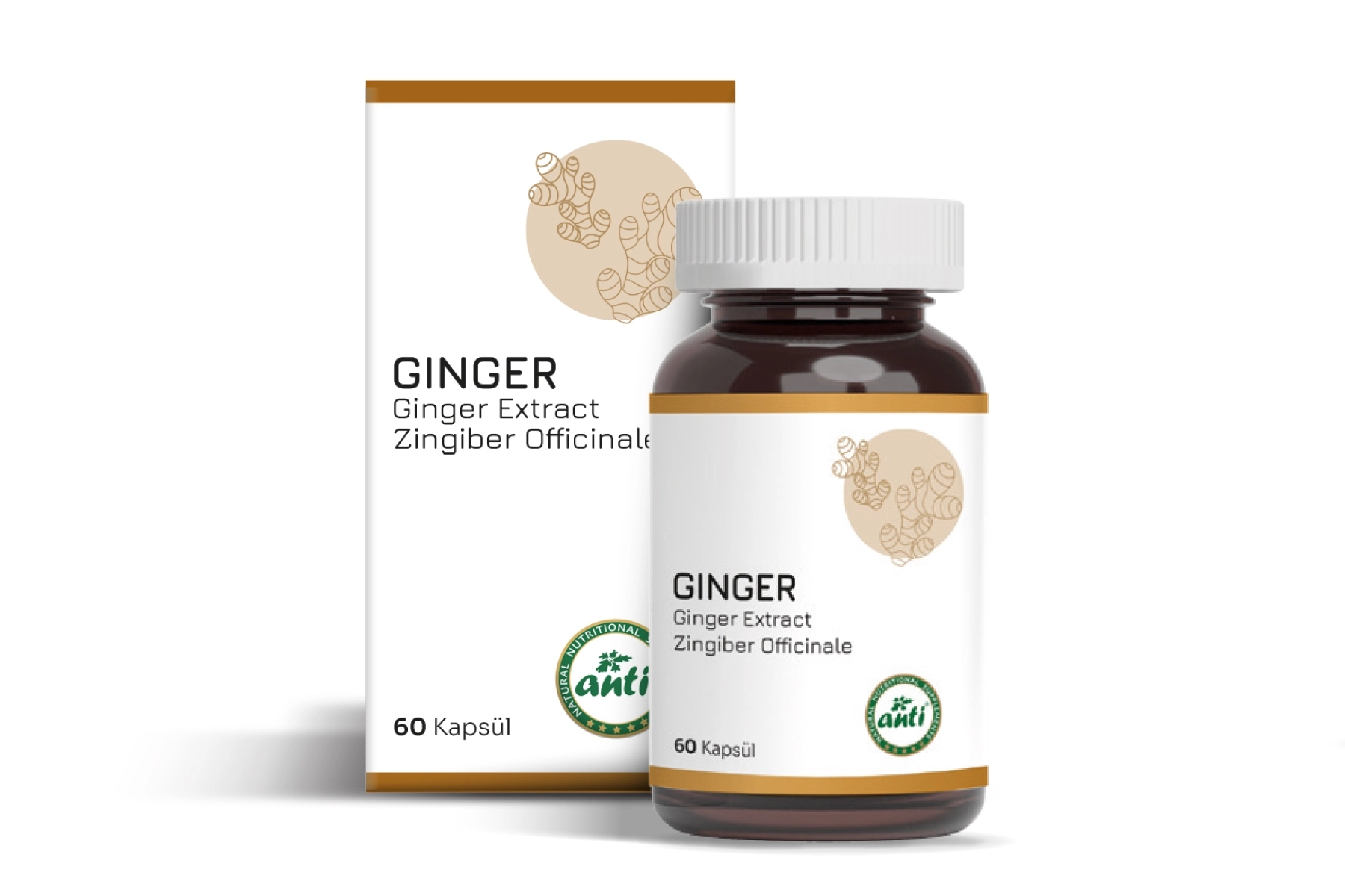ANTİ Ginger Zencefil Ekstresi Vcaps 60 Kapsül