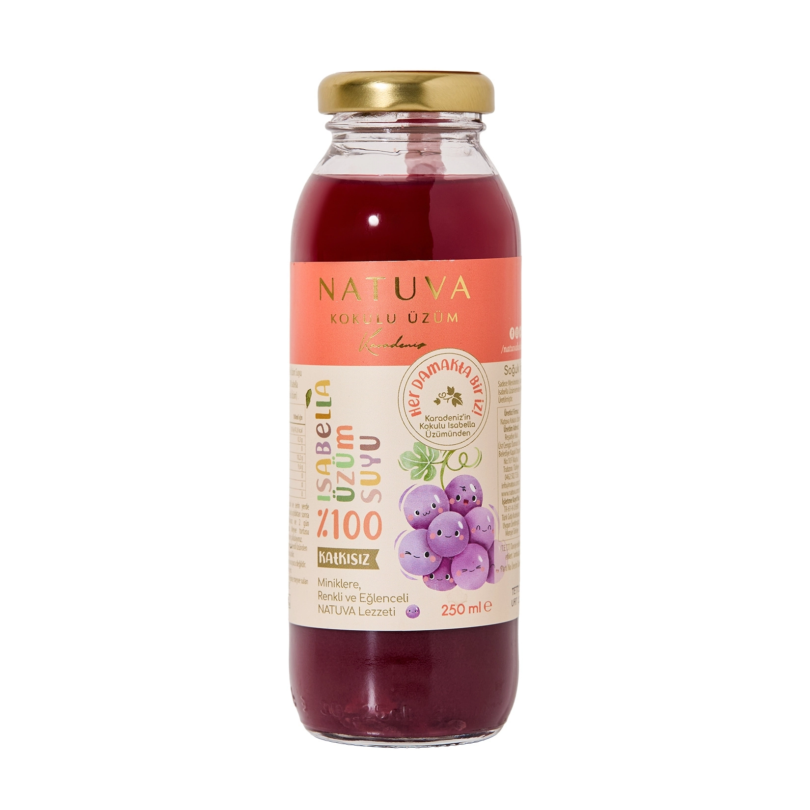 NATUVA Kokulu Üzüm %100 Meyve Suyu 250 ML