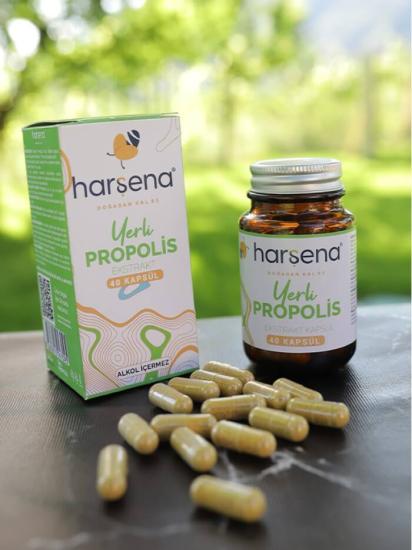 HARŞENA Propolis Ekstraktı 40 Kapsül