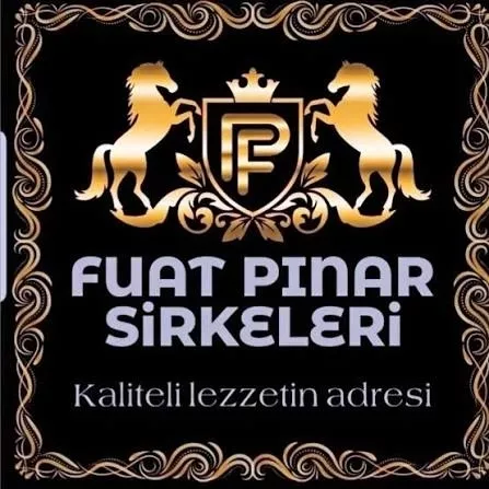 FUAT PINAR Elma Sirkesi 500 ML